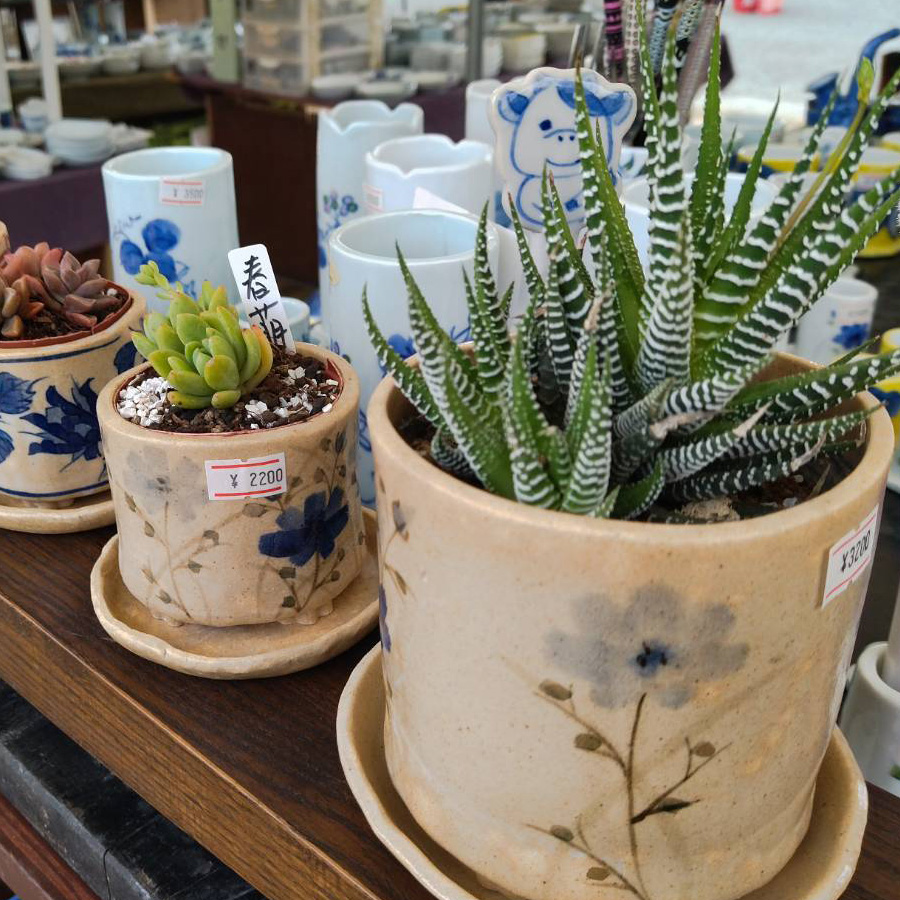 波佐見焼 藍彩窯