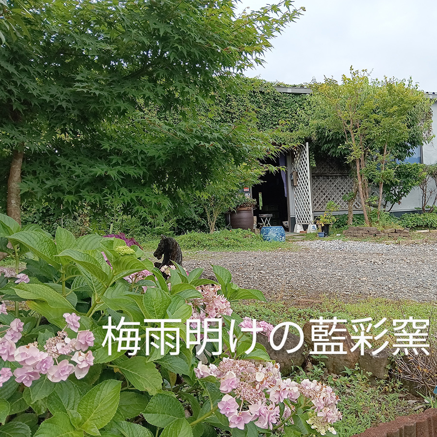 波佐見焼 藍彩窯